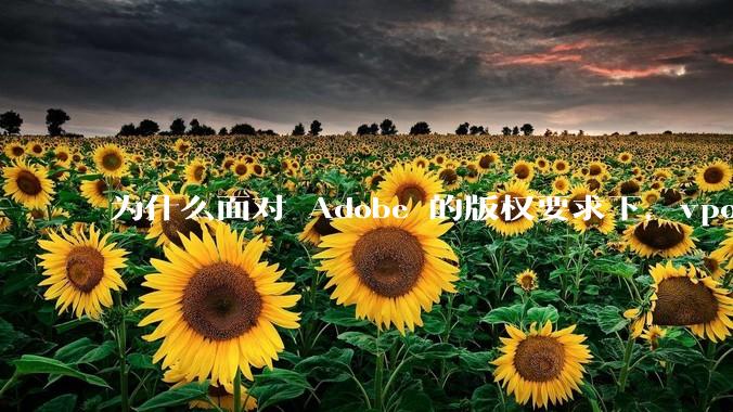 为什么面对 Adobe 的版权要求下，vposy 大神还能从容不迫？