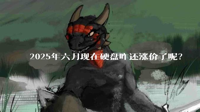 2025年六月现在硬盘咋还涨价了呢？