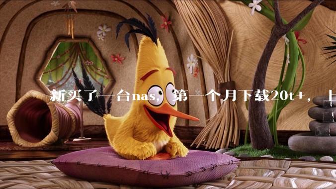 新买了一台nas，第一个月下载20t+，上传5+，不会被网警盯上吧?