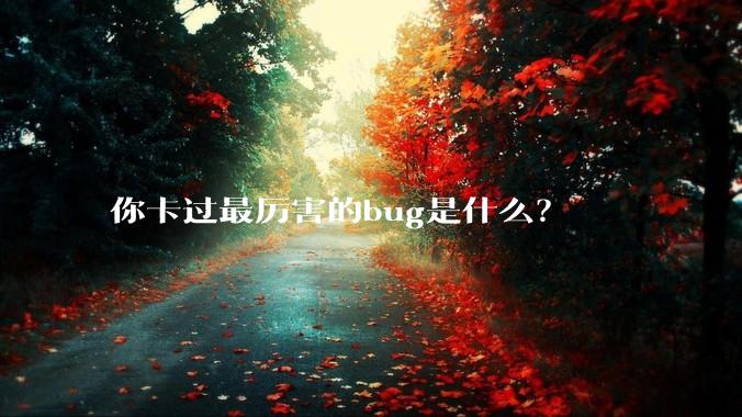你卡过最厉害的bug是什么？