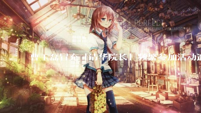 曹玉磊冒充「清华院长」频繁参加活动遭官方打***，他为何能堂而皇之以***身份开展活动？其将受到哪些处罚？