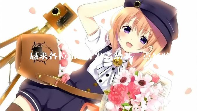 恳求各位.net开发者给我一点经验?