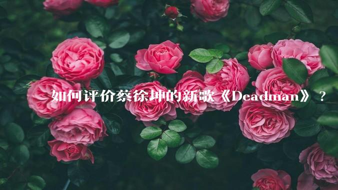 如何评价蔡徐坤的新歌《Deadman》?