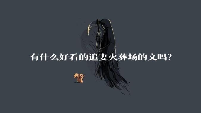 有什么好看的追妻火葬场的文吗？