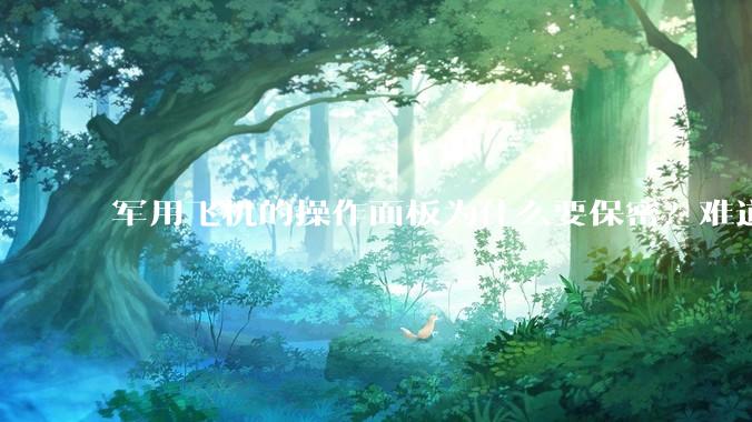 军用飞机的操作面板为什么要保密？难道是怕敌方掌握了以后有机会把飞机开走吗？