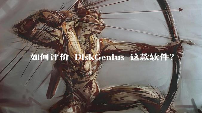 如何评价 DiskGenius 这款软件？