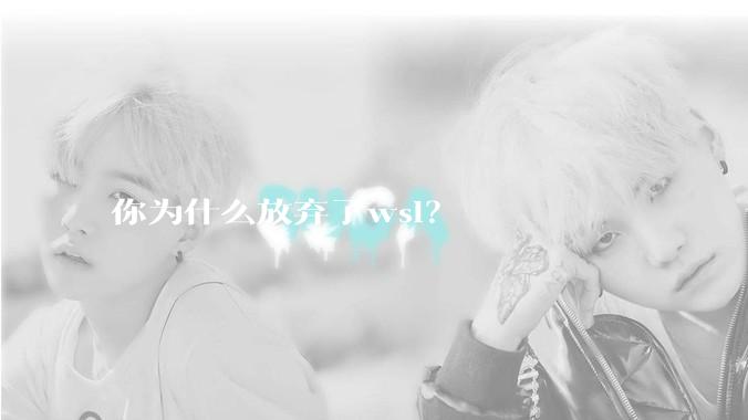 你为什么放弃了wsl？