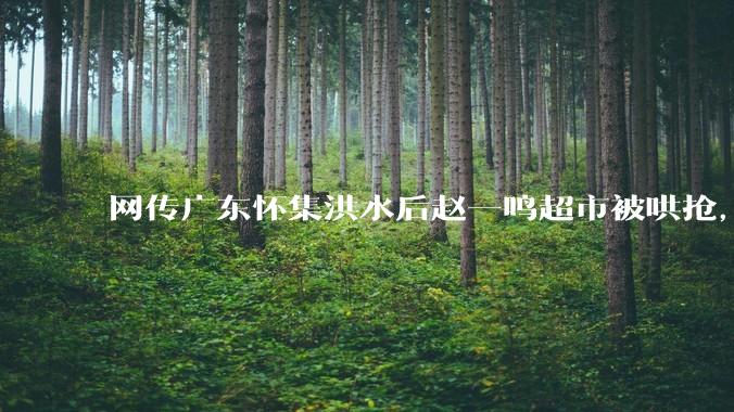 网传广东怀集洪水后赵一鸣超市被哄抢，县***回应相关单位正在核实，若属实哄抢者该承担哪些法律责任？