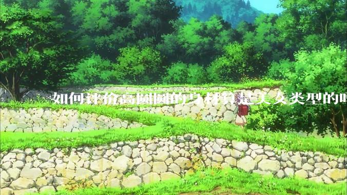 如何评价高圆圆的身材算是美女类型的吗？