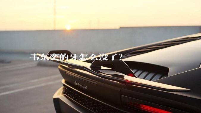 韦东奕的牙怎么没了？