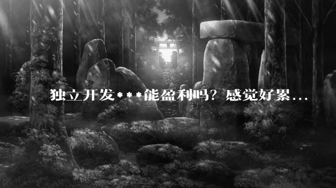 独立开发***能盈利吗？感觉好累...